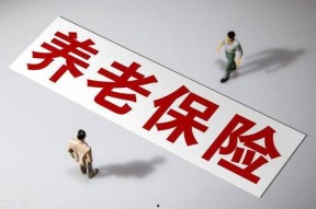 国产a级一级久久毛片,揭秘一级久久毛片背后的故事